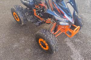 Quad 125 4t