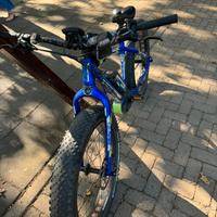 Whistle bison fat bike