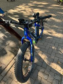 Whistle bison fat bike