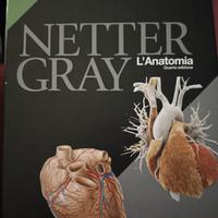 Enciclopedia Netter Gray-L'anatomia (4° ediz.)