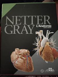 Enciclopedia Netter Gray-L'anatomia (4° ediz.)