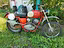 Immagine 1