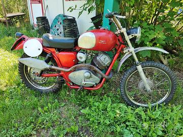 Guzzi lodola 235 regolarità replica 