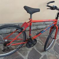 Bicicletta mountain bike