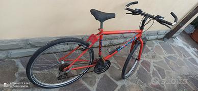 Bicicletta mountain bike