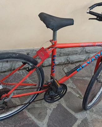 Bicicletta mountain bike