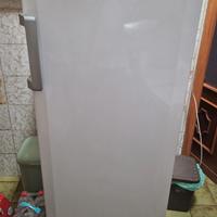 Congelatore verticale BEKO