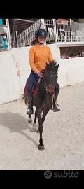 Pony
