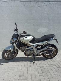 Suzuki gladius 