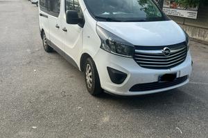 Opel vivari