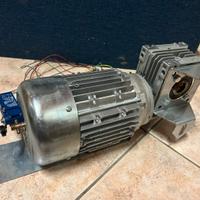 Motoriduttore Usato
