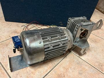 Motoriduttore Usato