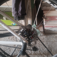 MTB 29 niner