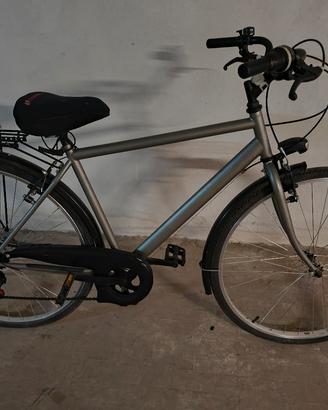 bicicletta da passeggio