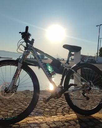 MTB Bottecchia Gavia 29