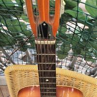 Chitarra classica Eko vintage 1960 modello Riviera