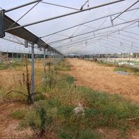 Struttura ombrario ferro zincato