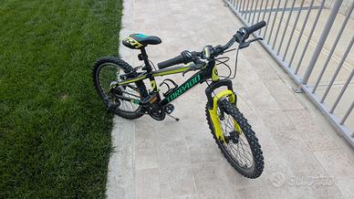 bicicletta per bambino