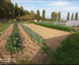 Terreno lastra a signa adiacente parco fluviale