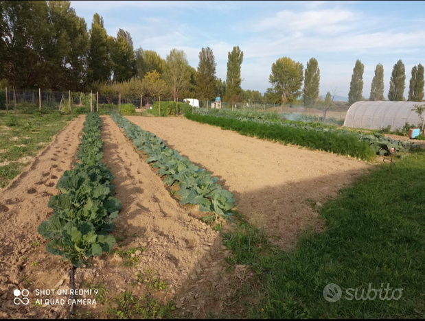 Terreno lastra a signa adiacente parco fluviale