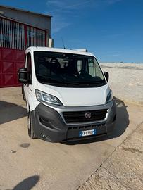 Fiat Ducato 7 posti Doppia cabina cassonato