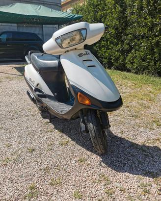 honda Bali SJ50 libretto piccolo