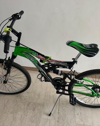 Bicicletta casadei