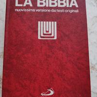 LA BIBBIA-S. Paolo