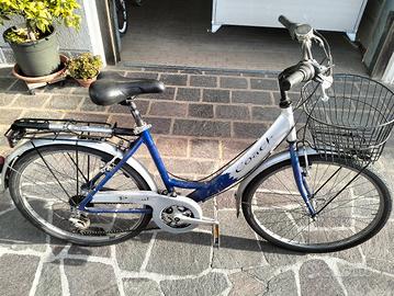 bicicletta da uomo passeggio 