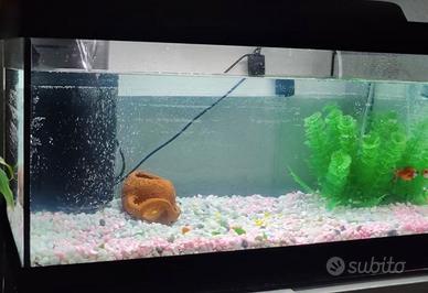 Acquario Tetra StarterLine Led