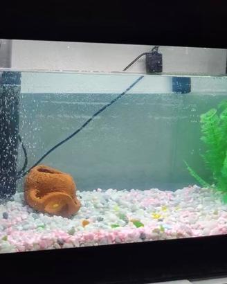 Acquario Tetra StarterLine Led
