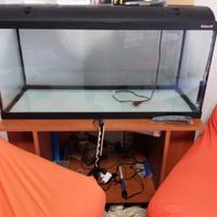 Acquario  Askoll Ambiente 180l