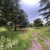Terreno agricolo