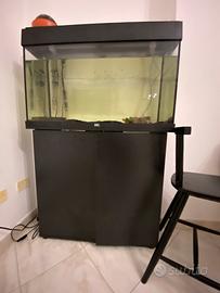 Acquario juwell rio 125 led con mobile