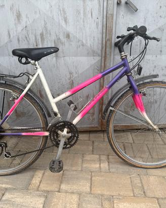 Mountain bike stato originale