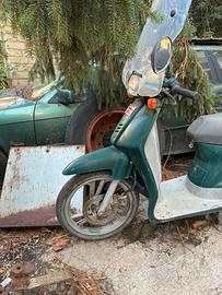 Honda sh50