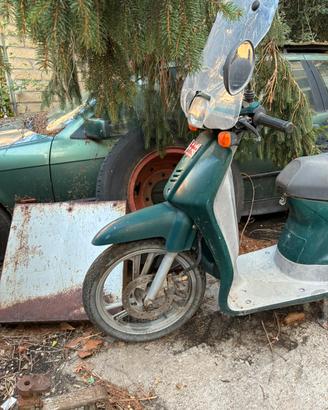 Honda sh50