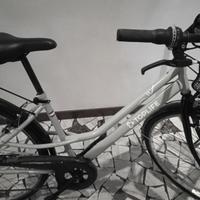 City bike mod. 28 seminuova con 6 rapporti