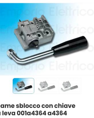sblocco con chiave a leva came