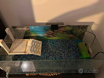 Acquario aperto per tartaruga o piccoli animali