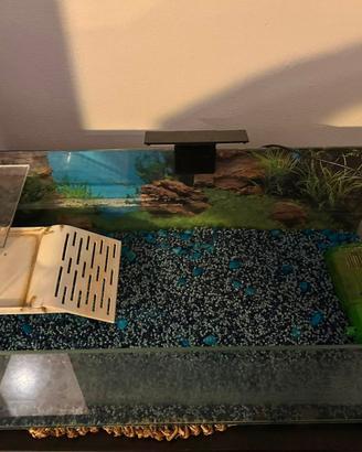 Acquario aperto per tartaruga o piccoli animali