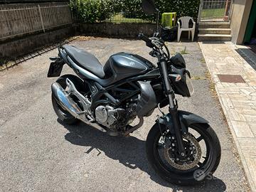 Suzuki Gladius 650