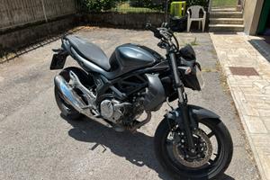 Suzuki Gladius 650