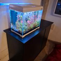 acquario amtra piu mobile