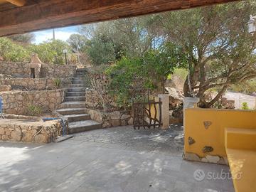 A.A.A. Appartamento vacanze zona Porto Pollo-Palau