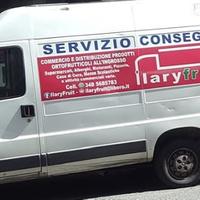 Fiat Ducato 2005