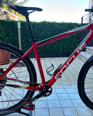 Focus Whistler Pro
