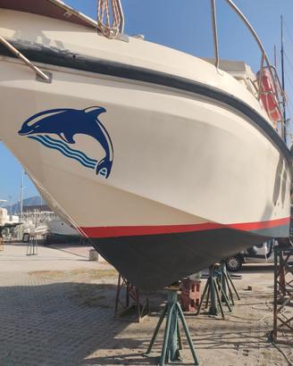Barca a motore