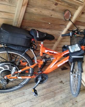 bicicletta elettrica