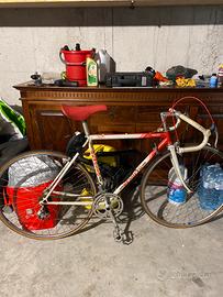 Bici da corsa Benotto